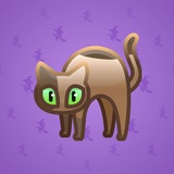 Scared Cat #5033 Scared Cat #5033
