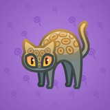 Scared Cat #5157 Scared Cat #5157