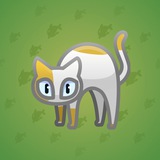 Scared Cat #516 Scared Cat #516