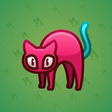 Scared Cat #523
