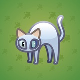 Scared Cat #5256