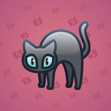 Scared Cat #5342