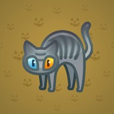 Scared Cat #5344 Scared Cat #5344