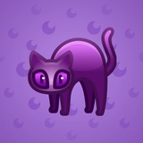 Scared Cat #5547 Scared Cat #5547