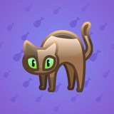 Scared Cat #569 Scared Cat #569