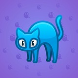 Scared Cat #5764 Scared Cat #5764