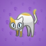 Scared Cat #5798