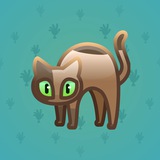 Scared Cat #5953