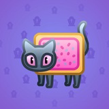 Scared Cat #6013 Scared Cat #6013