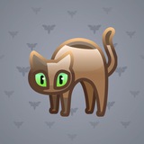 Scared Cat #6048 Scared Cat #6048