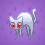 Scared Cat #6058 Scared Cat #6058