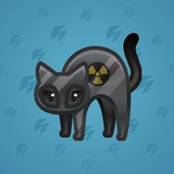 Scared Cat #6063 Scared Cat #6063