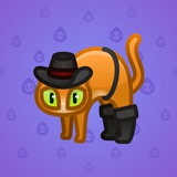 Scared Cat #610 Scared Cat #610