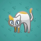 Scared Cat #6140 Scared Cat #6140