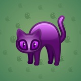 Scared Cat #6260 Scared Cat #6260