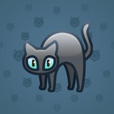 Scared Cat #6263