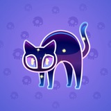 Scared Cat #6270 Scared Cat #6270
