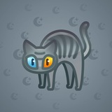 Scared Cat #6384 Scared Cat #6384
