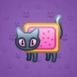 Scared Cat #6507 Scared Cat #6507