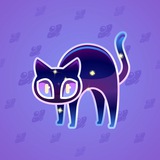 Scared Cat #6512