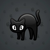 Scared Cat #6570 Scared Cat #6570