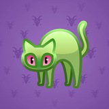 Scared Cat #6582 Scared Cat #6582