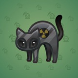 Scared Cat #6664 Scared Cat #6664