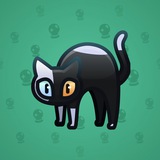 Scared Cat #6811 Scared Cat #6811