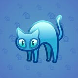 Scared Cat #6847