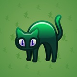 Scared Cat #6880