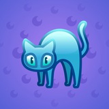 Scared Cat #7245