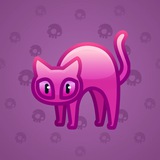 Scared Cat #7257 Scared Cat #7257