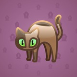 Scared Cat #7301 Scared Cat #7301