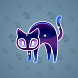 Scared Cat #7304 Scared Cat #7304