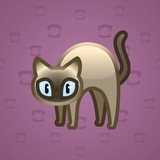 Scared Cat #7542