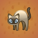 Scared Cat #772