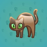 Scared Cat #7749 Scared Cat #7749