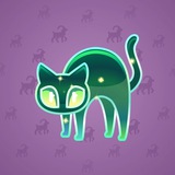 Scared Cat #7751