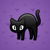 Scared Cat #789 Scared Cat #789