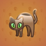 Scared Cat #7923 Scared Cat #7923