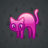 Scared Cat #7999 Scared Cat #7999