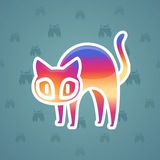 Scared Cat #8033 Scared Cat #8033