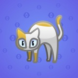 Scared Cat #8081 Scared Cat #8081
