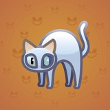Scared Cat #8089 Scared Cat #8089