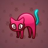 Scared Cat #8167 Scared Cat #8167