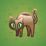 Scared Cat #823 Scared Cat #823