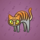 Scared Cat #8257
