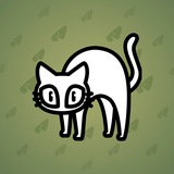 Scared Cat #8290 Scared Cat #8290