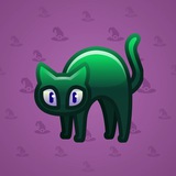 Scared Cat #8428 Scared Cat #8428