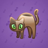 Scared Cat #8471